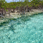 Glasklares Flusswasser