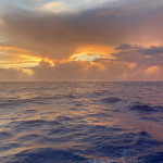 auf geht's nach Florida!