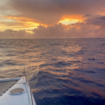 Auf geht's in die USA