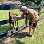 Nachwuchs auf der Plantage