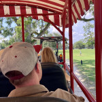 mit dem Zug über das Gelände...